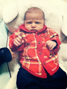 Meet your Posher, Gloria